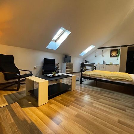 Savoya Nr3 Studio Old City Center Self Check-In Timisoara Esterno foto