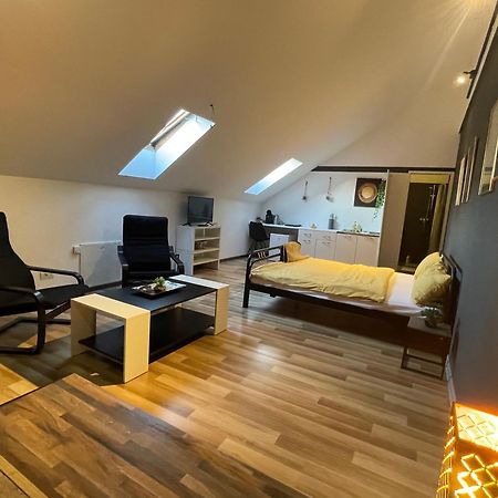 Savoya Nr3 Studio Old City Center Self Check-In Timisoara Esterno foto