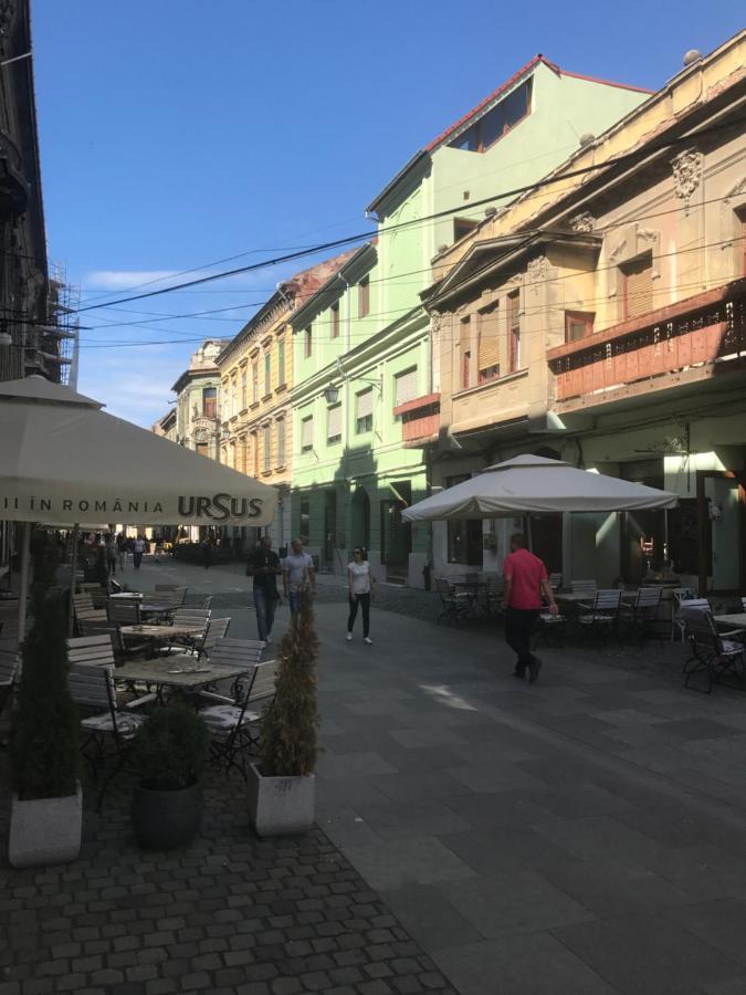 Savoya Nr3 Studio Old City Center Self Check-In Timisoara Esterno foto