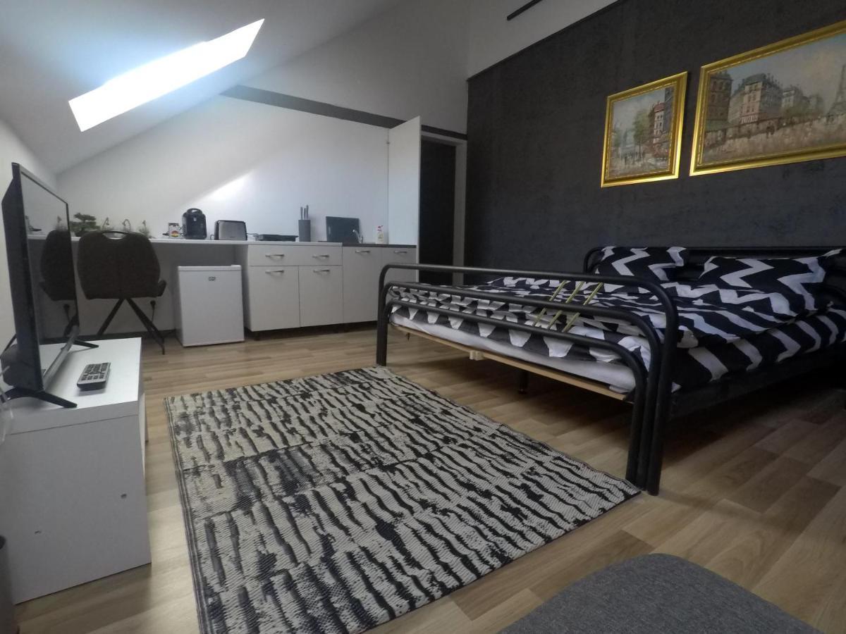 Savoya Nr3 Studio Old City Center Self Check-In Timisoara Esterno foto