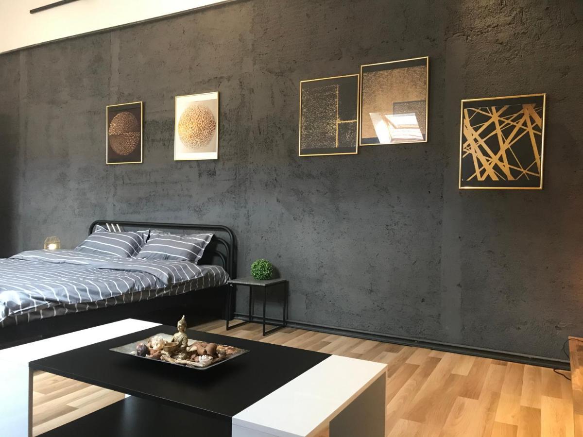 Savoya Nr3 Studio Old City Center Self Check-In Timisoara Esterno foto