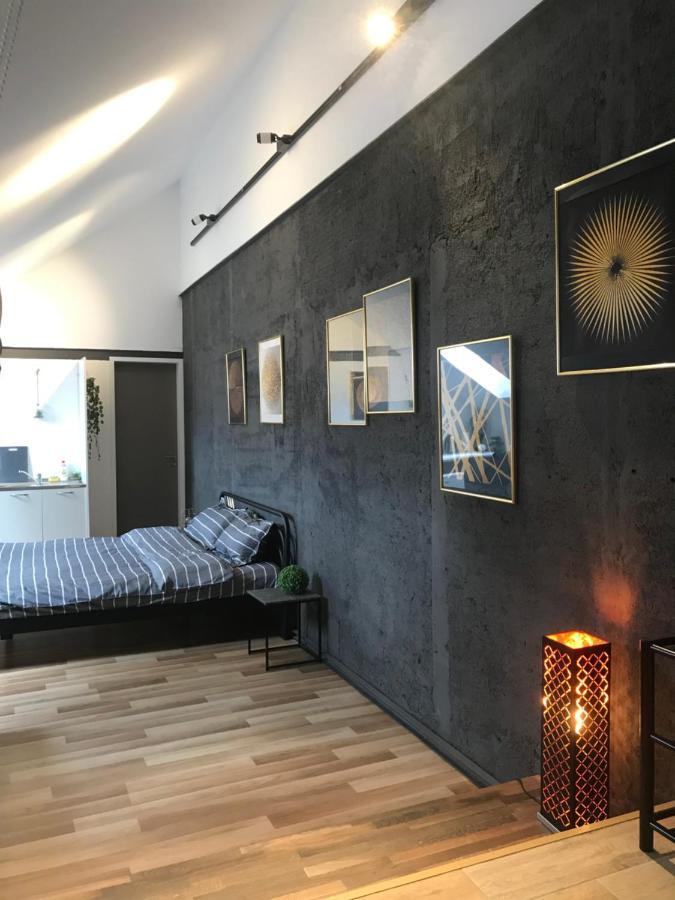 Savoya Nr3 Studio Old City Center Self Check-In Timisoara Esterno foto