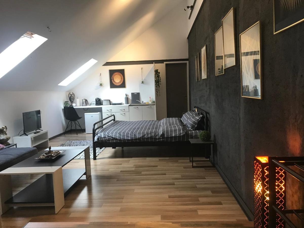 Savoya Nr3 Studio Old City Center Self Check-In Timisoara Esterno foto