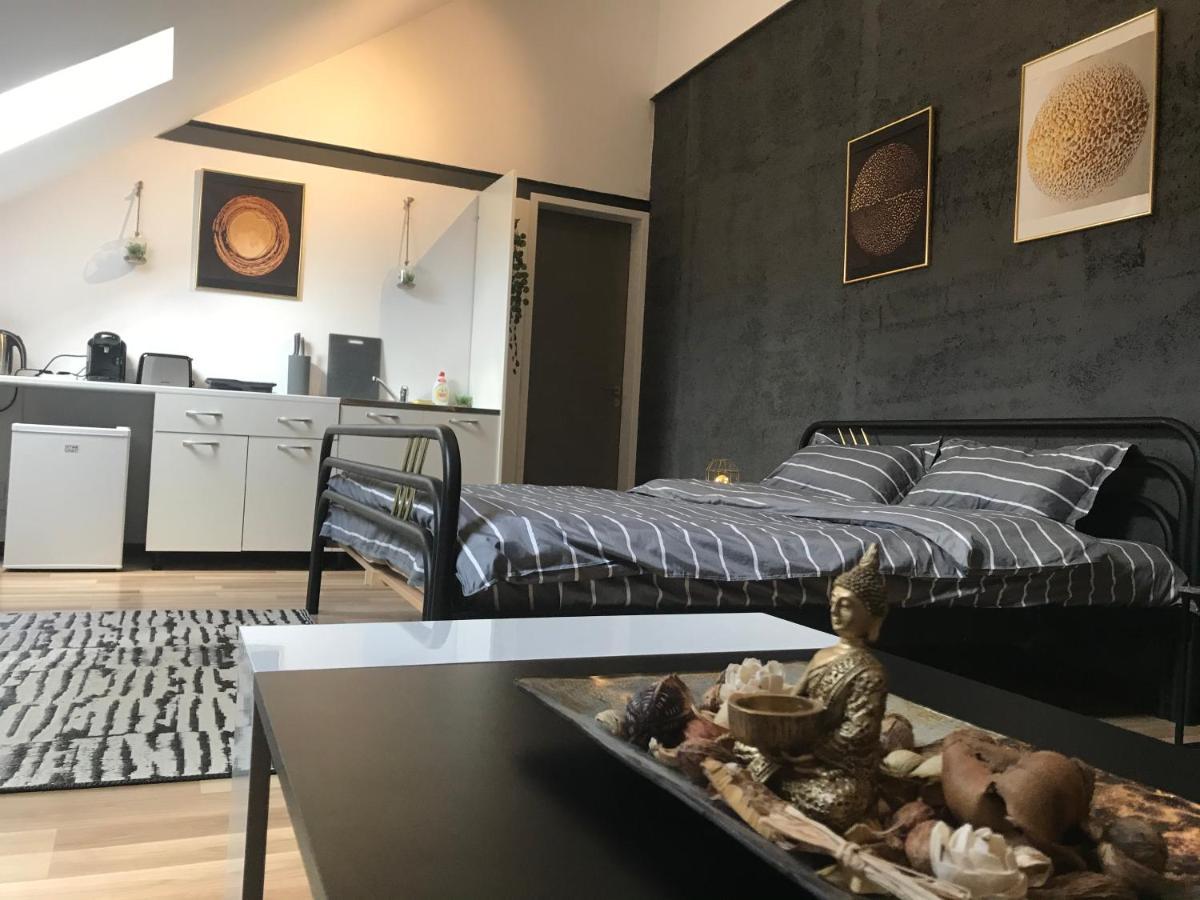 Savoya Nr3 Studio Old City Center Self Check-In Timisoara Esterno foto