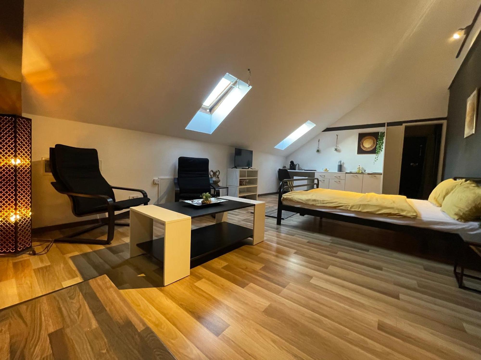 Savoya Nr3 Studio Old City Center Self Check-In Timisoara Esterno foto